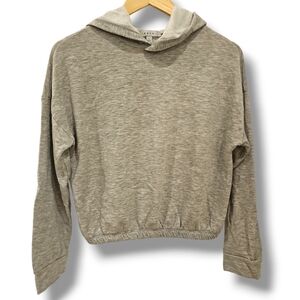 Gaze Gray Hooded Cropped Pullover Sweatshirt - Size Large